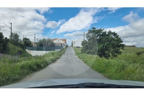 Villa i Ourique, Beja, Ourique - € 80.000 | Ref: M5-005.25 - foto 33