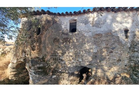 Villa i Ourique, Beja, Ourique - € 80.000 | Ref: M5-005.25 - foto 7