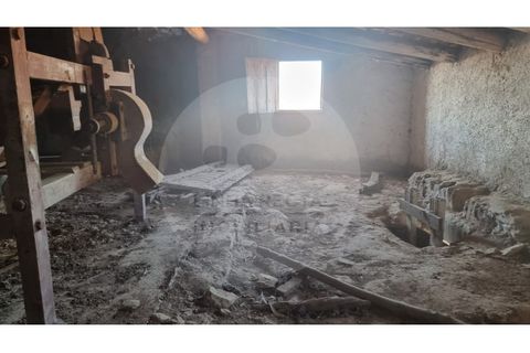 Villa i Ourique, Beja, Ourique - € 80.000 | Ref: M5-005.25 - foto 15