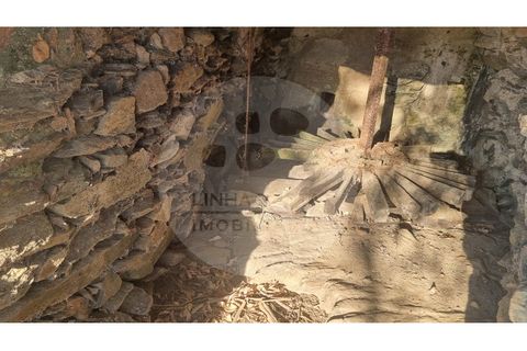 Villa i Ourique, Beja, Ourique - € 80.000 | Ref: M5-005.25 - foto 38