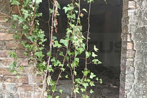 Helårsgrund i Arouca, Aveiro, Arouca - € 47.500 | Ref: AV25/158 - foto 2