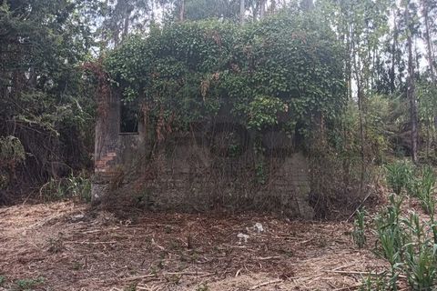 Helårsgrund i Arouca, Aveiro, Arouca - € 47.500 | Ref: AV25/158 - foto 3