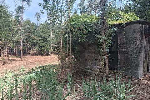 Helårsgrund i Arouca, Aveiro, Arouca - € 47.500 | Ref: AV25/158 - foto 5