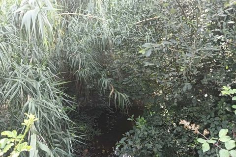 Helårsgrund i Arouca, Aveiro, Arouca - € 47.500 | Ref: AV25/158 - foto 6