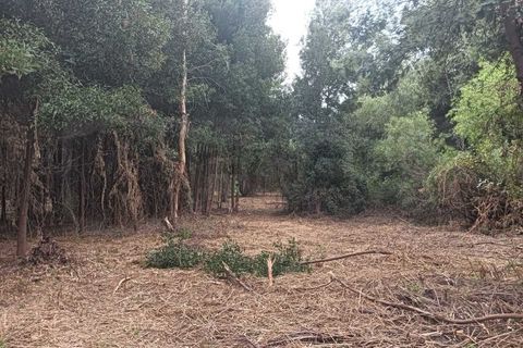 Helårsgrund i Arouca, Aveiro, Arouca - € 47.500 | Ref: AV25/158 - foto 8