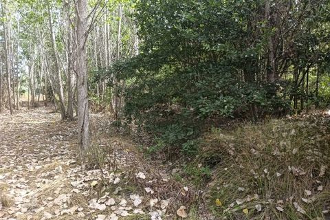 Helårsgrund i Arouca, Aveiro, Arouca - € 47.500 | Ref: AV25/158 - foto 12