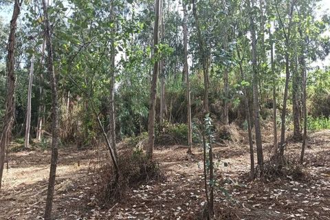 Helårsgrund i Arouca, Aveiro, Arouca - € 47.500 | Ref: AV25/158 - foto 14