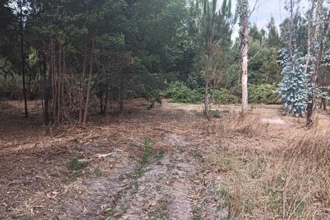 Helårsgrund i Arouca, Aveiro, Arouca - € 47.500 | Ref: AV25/158 - foto 15