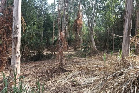 Helårsgrund i Arouca, Aveiro, Arouca - € 47.500 | Ref: AV25/158 - foto 16