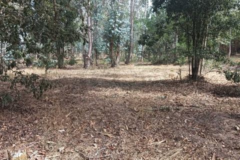 Helårsgrund i Arouca, Aveiro, Arouca - € 47.500 | Ref: AV25/158 - foto 18