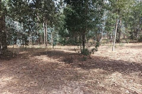 Helårsgrund i Arouca, Aveiro, Arouca - € 47.500 | Ref: AV25/158 - foto 19