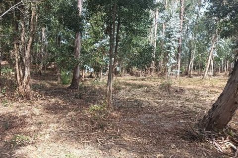 Helårsgrund i Arouca, Aveiro, Arouca - € 47.500 | Ref: AV25/158 - foto 22