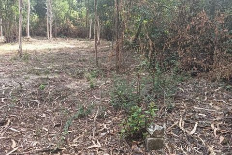 Helårsgrund i Arouca, Aveiro, Arouca - € 47.500 | Ref: AV25/158 - foto 23