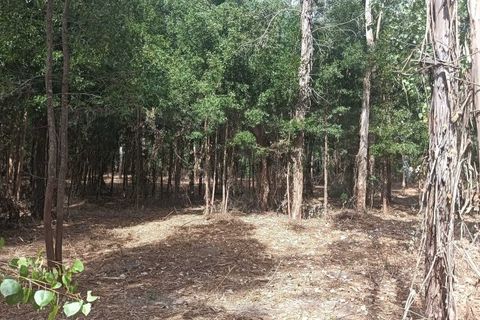 Helårsgrund i Arouca, Aveiro, Arouca - € 47.500 | Ref: AV25/158 - foto 25