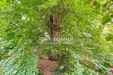 Villa a Neufchatel-en-Bray, Seine-Maritime, Neufchatel-en-Bray - € 580.000 | Ref: 86171929 - foto 10