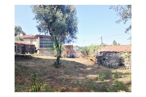 Farm i Sever do Vouga, Aveiro, Sever do Vouga - € 30.000 | Ref: FIN_1770 - foto 2