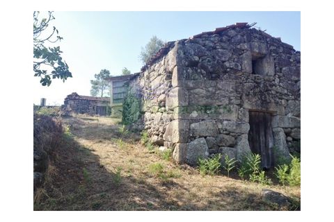 Farm i Sever do Vouga, Aveiro, Sever do Vouga - € 30.000 | Ref: FIN_1770 - foto 3