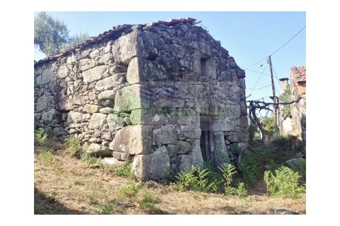 Farm i Sever do Vouga, Aveiro, Sever do Vouga - € 30.000 | Ref: FIN_1770 - foto 4