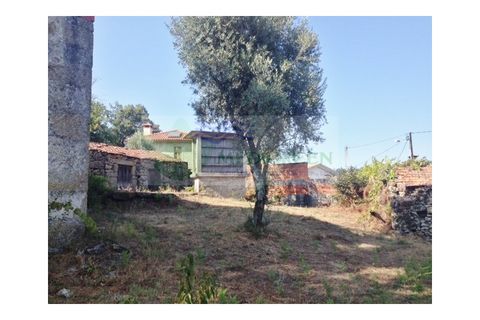 Farm i Sever do Vouga, Aveiro, Sever do Vouga - € 30.000 | Ref: FIN_1770 - foto 5