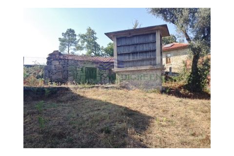 Farm i Sever do Vouga, Aveiro, Sever do Vouga - € 30.000 | Ref: FIN_1770 - foto 6