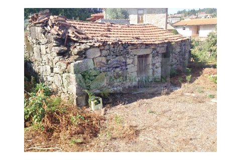 Farm i Sever do Vouga, Aveiro, Sever do Vouga - € 30.000 | Ref: FIN_1770 - foto 7