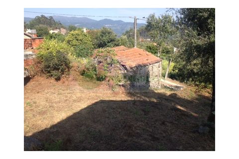Farm i Sever do Vouga, Aveiro, Sever do Vouga - € 30.000 | Ref: FIN_1770 - foto 9