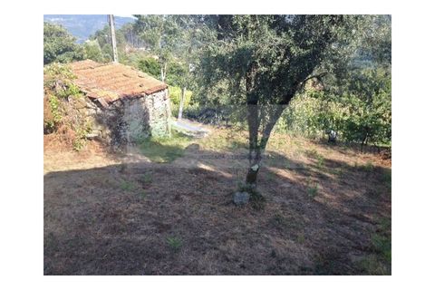 Farm i Sever do Vouga, Aveiro, Sever do Vouga - € 30.000 | Ref: FIN_1770 - foto 10