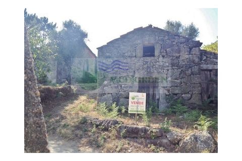 Farm i Sever do Vouga, Aveiro, Sever do Vouga - € 30.000 | Ref: FIN_1770 - foto 11