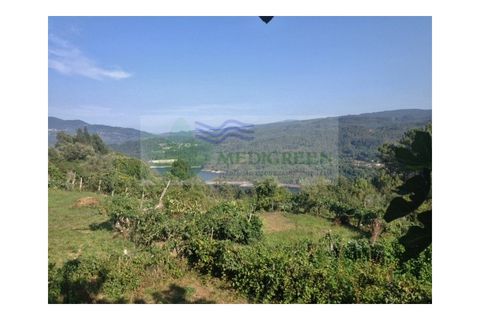 Farm i Sever do Vouga, Aveiro, Sever do Vouga - € 30.000 | Ref: FIN_1770 - foto 12