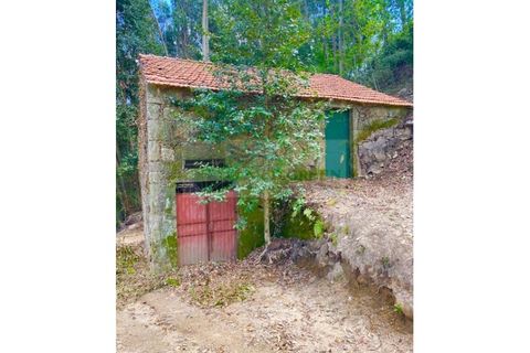 Villa en Sever do Vouga, Aveiro, Sever do Vouga - € 35.000 | Ref: CAS_1584 - photo 1