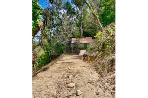Villa en Sever do Vouga, Aveiro, Sever do Vouga - € 35.000 | Ref: CAS_1584 - photo 3