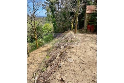 Villa en Sever do Vouga, Aveiro, Sever do Vouga - € 35.000 | Ref: CAS_1584 - photo 4