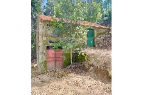 Villa en Sever do Vouga, Aveiro, Sever do Vouga - € 35.000 | Ref: CAS_1584 - photo 5