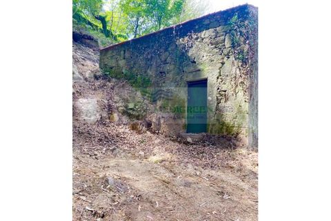 Villa en Sever do Vouga, Aveiro, Sever do Vouga - € 35.000 | Ref: CAS_1584 - photo 6