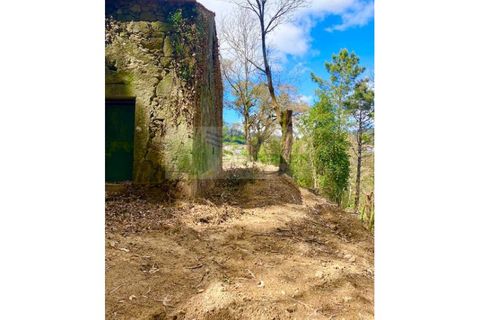 Villa en Sever do Vouga, Aveiro, Sever do Vouga - € 35.000 | Ref: CAS_1584 - photo 7