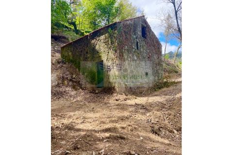 Villa en Sever do Vouga, Aveiro, Sever do Vouga - € 35.000 | Ref: CAS_1584 - photo 8