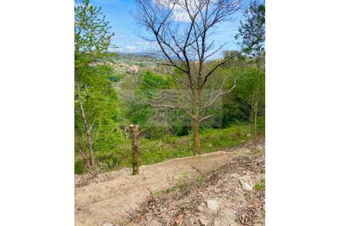 Villa en Sever do Vouga, Aveiro, Sever do Vouga - € 35.000 | Ref: CAS_1584 - photo 10