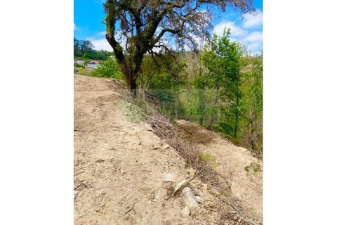Villa en Sever do Vouga, Aveiro, Sever do Vouga - € 35.000 | Ref: CAS_1584 - photo 11