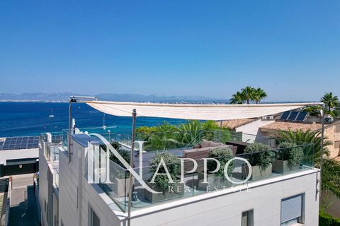 Villa a Llucmajor, Mallorca, Llucmajor - € 1.550.000 | Ref: 4012 - foto 17