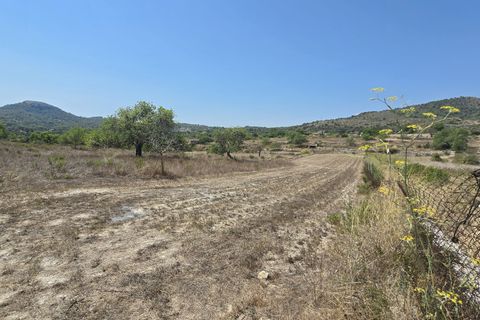 Helårsgrund i Son Servera, Mallorca, Son Servera - € 400.000 | Ref: FALC-HeMa-73580 - foto 2