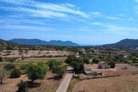 Helårsgrund i Son Servera, Mallorca, Son Servera - € 400.000 | Ref: FALC-HeMa-73580 - foto 5