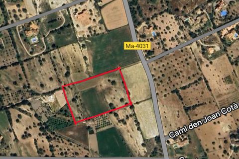 Helårsgrund i Son Servera, Mallorca, Son Servera - € 400.000 | Ref: FALC-HeMa-73580 - foto 7
