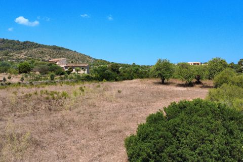 Helårsgrund i Son Servera, Mallorca, Son Servera - € 435.000 | Ref: FALC-HeMa-73578 - foto 2