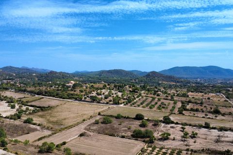 Helårsgrund i Son Servera, Mallorca, Son Servera - € 435.000 | Ref: FALC-HeMa-73578 - foto 6
