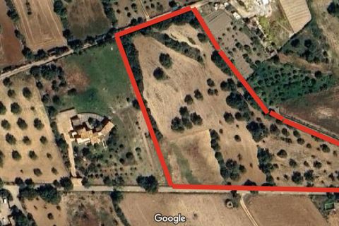 Helårsgrund i Son Servera, Mallorca, Son Servera - € 435.000 | Ref: FALC-HeMa-73578 - foto 8