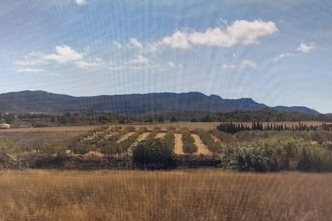 Landejendom i Lorca, Murcia, Lorca - € 585.000 | Ref: 47012-PB - foto 14