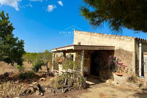 Villa i El Perello, Tarragona, El Perello - € 130.000 | Ref: 1147 - foto 3