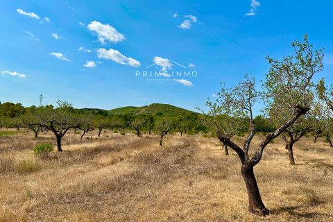 Villa i El Perello, Tarragona, El Perello - € 130.000 | Ref: 1147 - foto 18