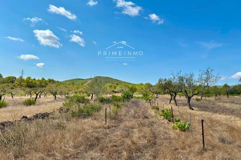 Villa i El Perello, Tarragona, El Perello - € 130.000 | Ref: 1147 - foto 21