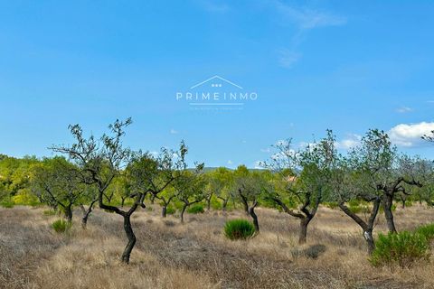 Villa i El Perello, Tarragona, El Perello - € 130.000 | Ref: 1147 - foto 23